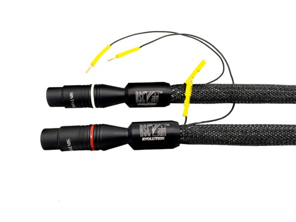 Tara Labs RSC Air Evolution Interconnects