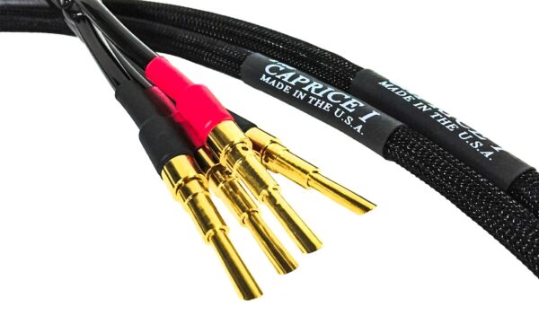 Tara Labs The Caprice I Speaker Cables