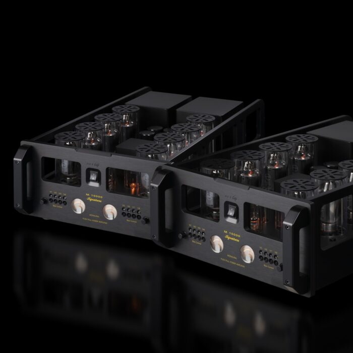 Allnic M 10000 Signature Monoblock Power Amplifier