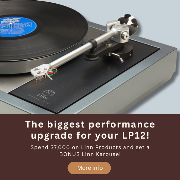 Linn LP12 upgrade Karousel bearing