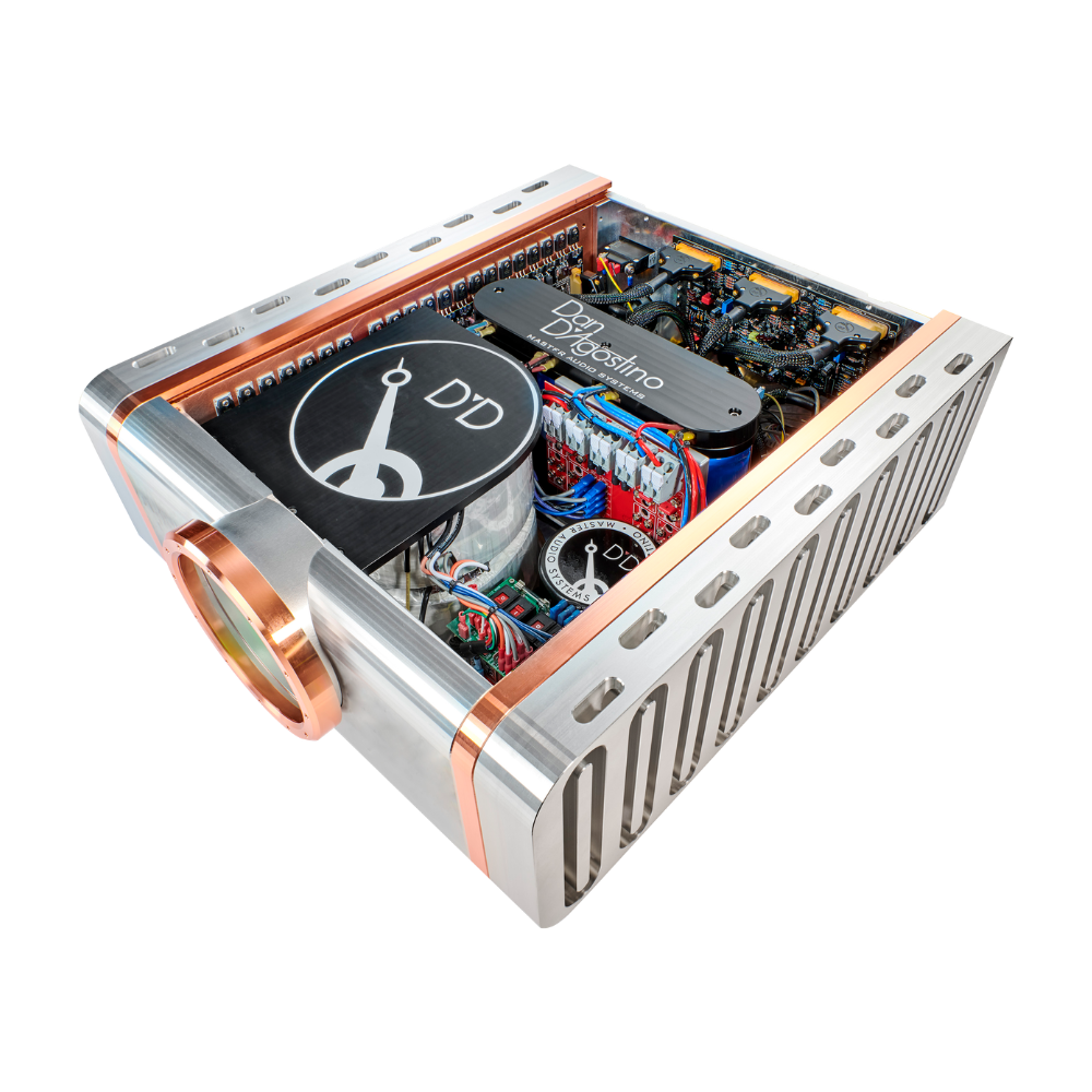 DAN D'AGOSTINO RELENTLESS 800 Z MONOBLOCK AMPLIFIERS (EACH) 3 Dan DAgostino Relentless 800 Z Mono Amplifier (2)