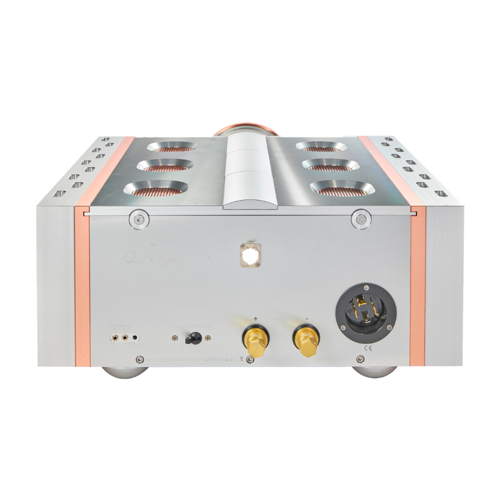 DAN D'AGOSTINO RELENTLESS 800 Z MONOBLOCK AMPLIFIERS (EACH) 2 Dan DAgostino Relentless 800 Z Mono Amplifier (3)