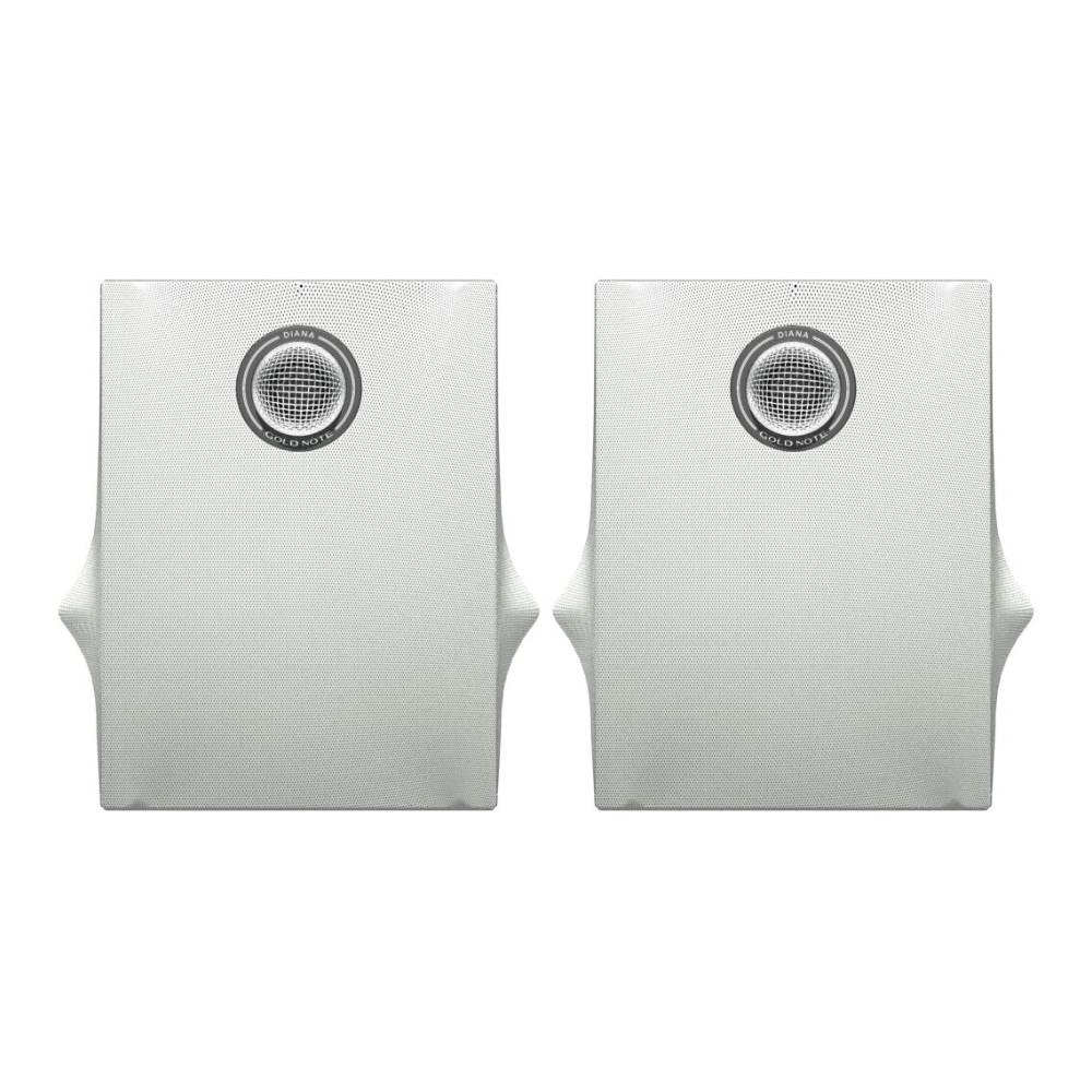 GOLD NOTE DIANA I BOOKSHELF SPEAKERS 3 Gold Note Diana I
