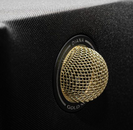 GOLD NOTE DIANA I BOOKSHELF SPEAKERS 7 Gold Note Diana I Speakers
