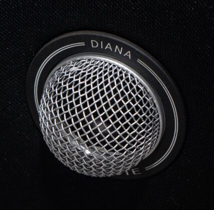 GOLD NOTE DIANA II BOOKSHELF SPEAKERS 5 Gold Note Diana II Speakers (2)